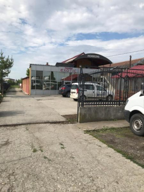 Hotels in Dolj